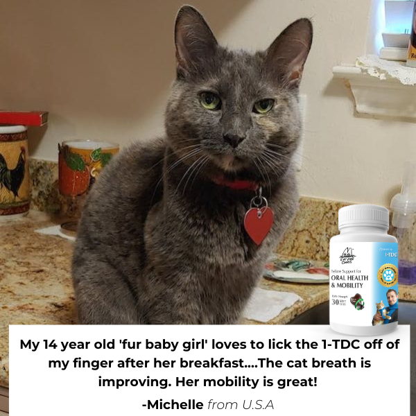1-TDC Oral Health + Mobility Support for Cats (120 count)
