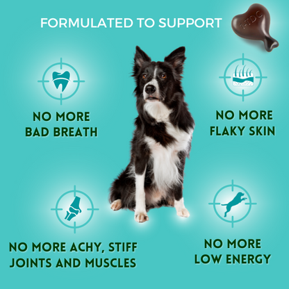 1-TDC  Oral Health + Mobility Support for Dogs