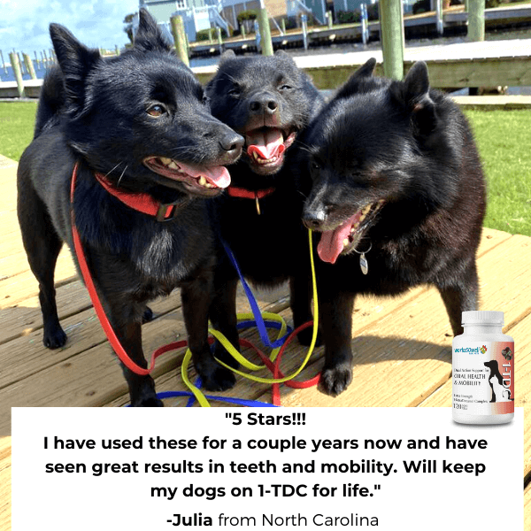 1-TDC  Oral Health + Mobility Support for Dogs