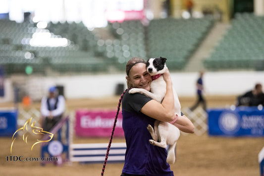 Interview with AKC National Agility Winner Angie Benacquisto