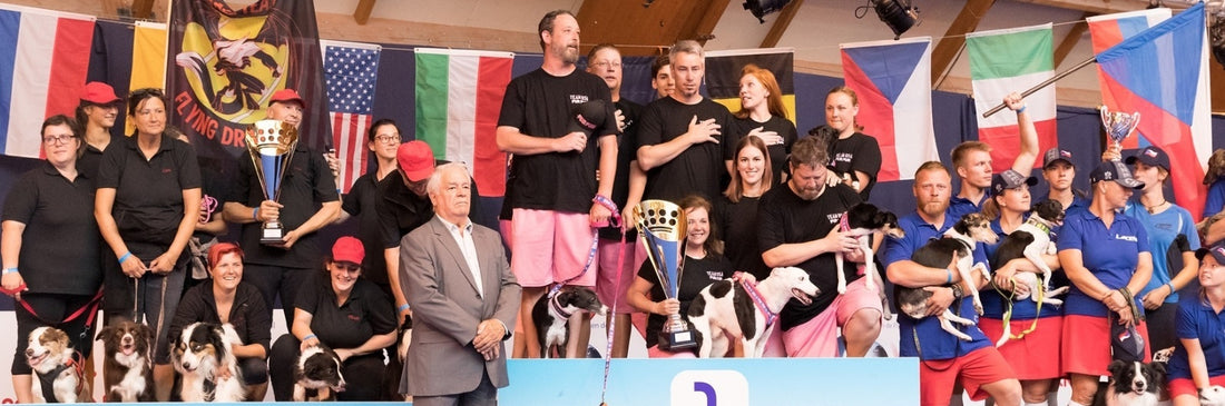 Fur Fun Flyball winning FCI flyball competition in France