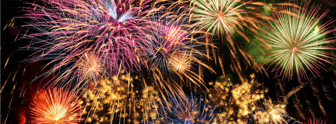 Fireworks and Your Pet: Preparing an Anxious Pet for 4th of July Celebrations