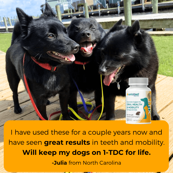1-TDC  Oral Health + Mobility Support for Dogs