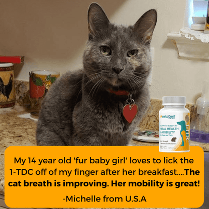 1-TDC Oral Health + Mobility Support for Cats