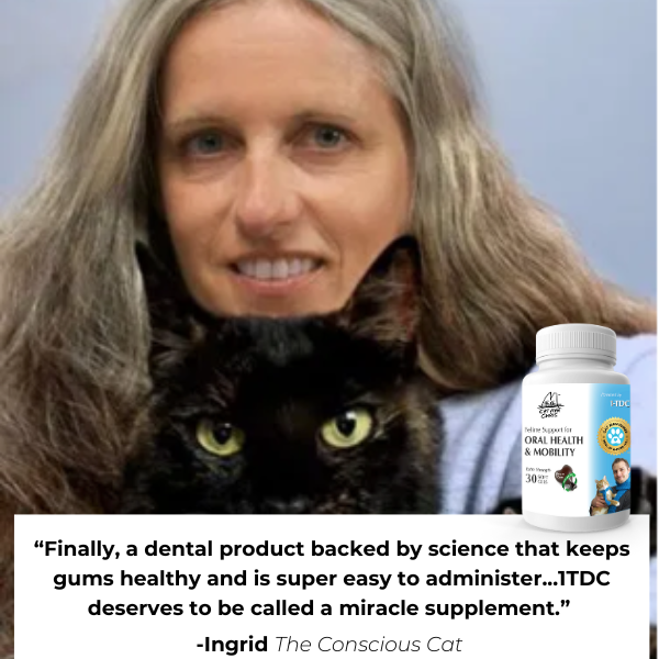 1-TDC Oral Health + Mobility Support for Cats (120 count)