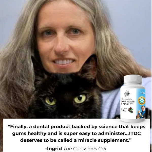 1-TDC Oral Health + Mobility Support for Cats (60 count)