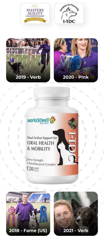 //www.workssowell.com/cdn/shop/files/1-tdc-champion-mobile-new.png?v=1684417271