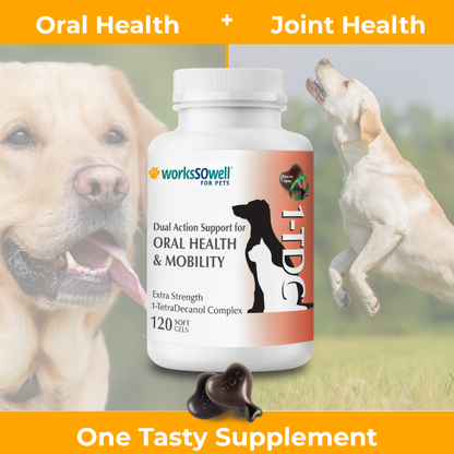 1-TDC  Oral Health + Mobility Support for Dogs