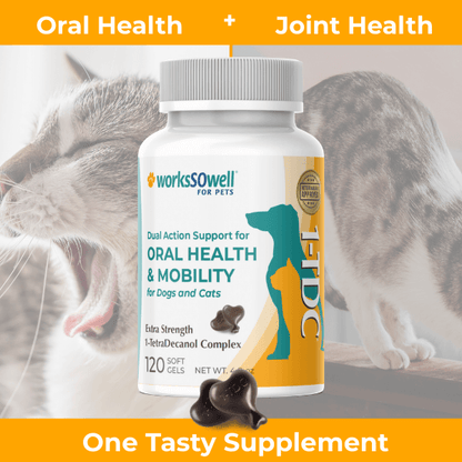 1-TDC Oral Health + Mobility Support for Cats – worksSOwell 1-TDC Oral Health + Mobility Support for Cats – worksSOwell