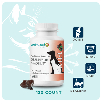 1-TDC Oral Health + Mobility Support for Cats