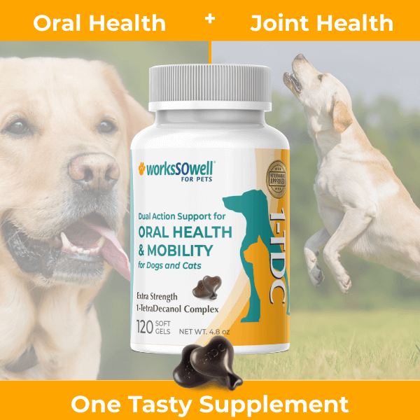 1-TDC  Oral Health + Mobility Support for Dogs
