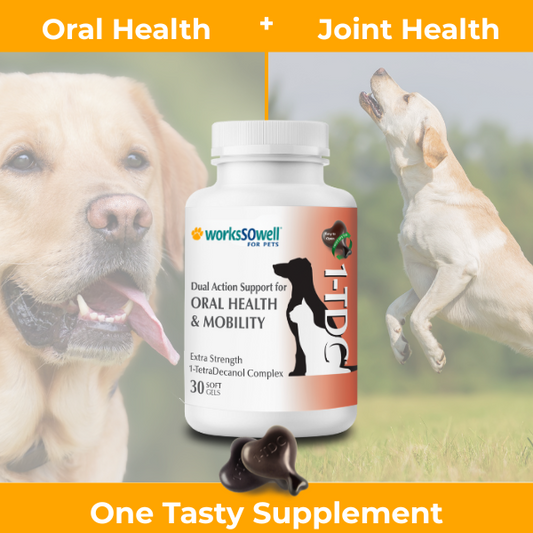 1-TDC  Oral Health + Mobility Support for Dogs