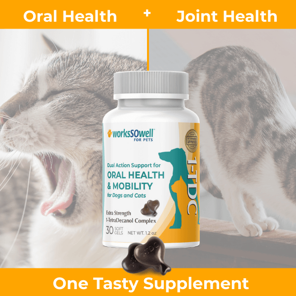1-TDC Oral Health + Mobility Support for Cats