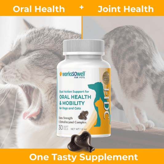 1-TDC Oral Health + Mobility Support for Cats