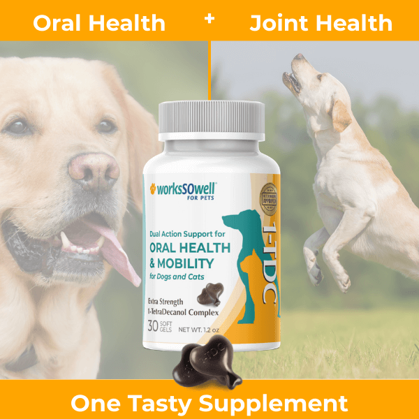 1-TDC Oral Health + Mobility Support for Dogs – worksSOwell 1-TDC Oral Health + Mobility Support for Dogs – worksSOwell