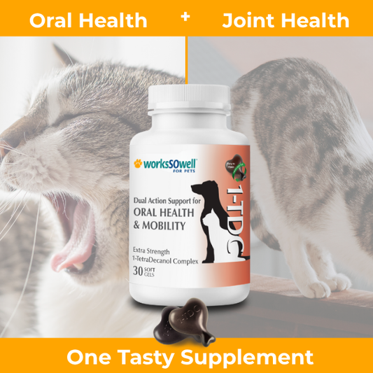 1-TDC Oral Health + Mobility Support for Cats
