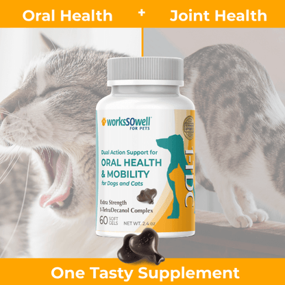 1-TDC Oral Health + Mobility Support for Cats