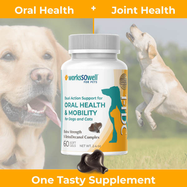 1-TDC  Oral Health + Mobility Support for Dogs