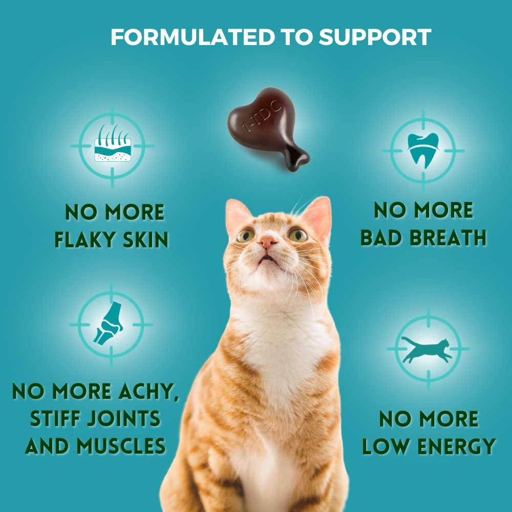 1-TDC Oral Health + Mobility Support for Cats (60 count)