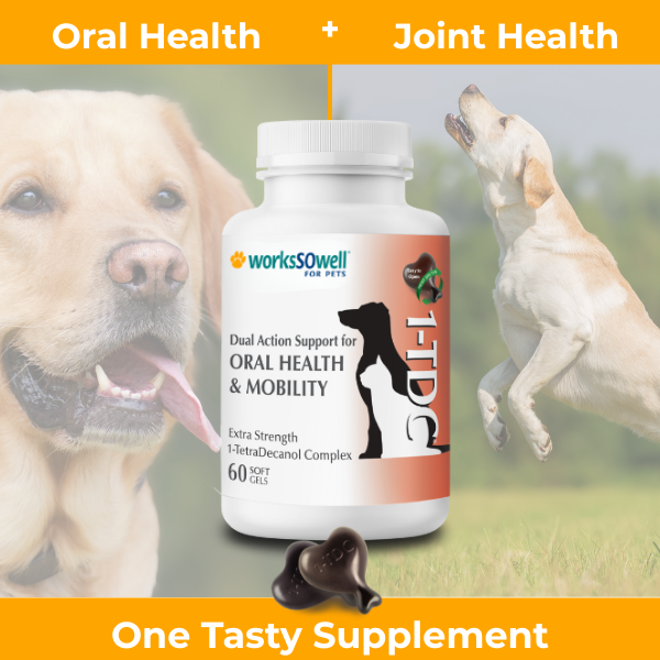1-TDC  Oral Health + Mobility Support for Dogs