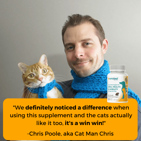 1-TDC Oral Health + Mobility Support for Cats