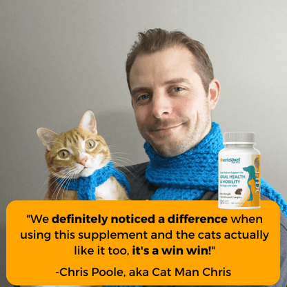1-TDC Oral Health + Mobility Support for Cats