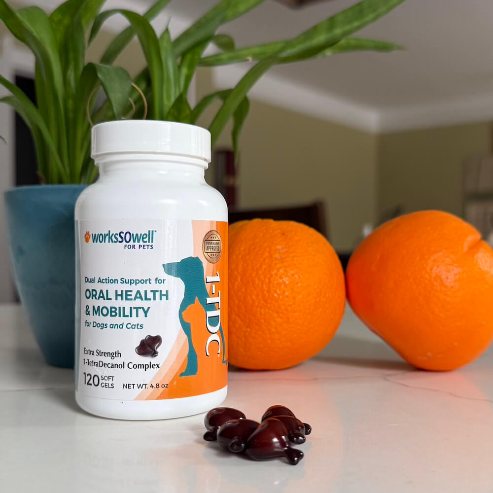 1-TDC Oral Health + Mobility Support for Cats – worksSOwell