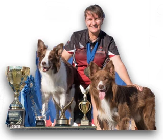dog-info