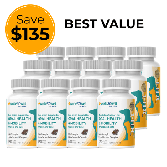 1-TDC Oral Health + Mobility Support  Dogs - 12 bottles – (1440 soft gels)