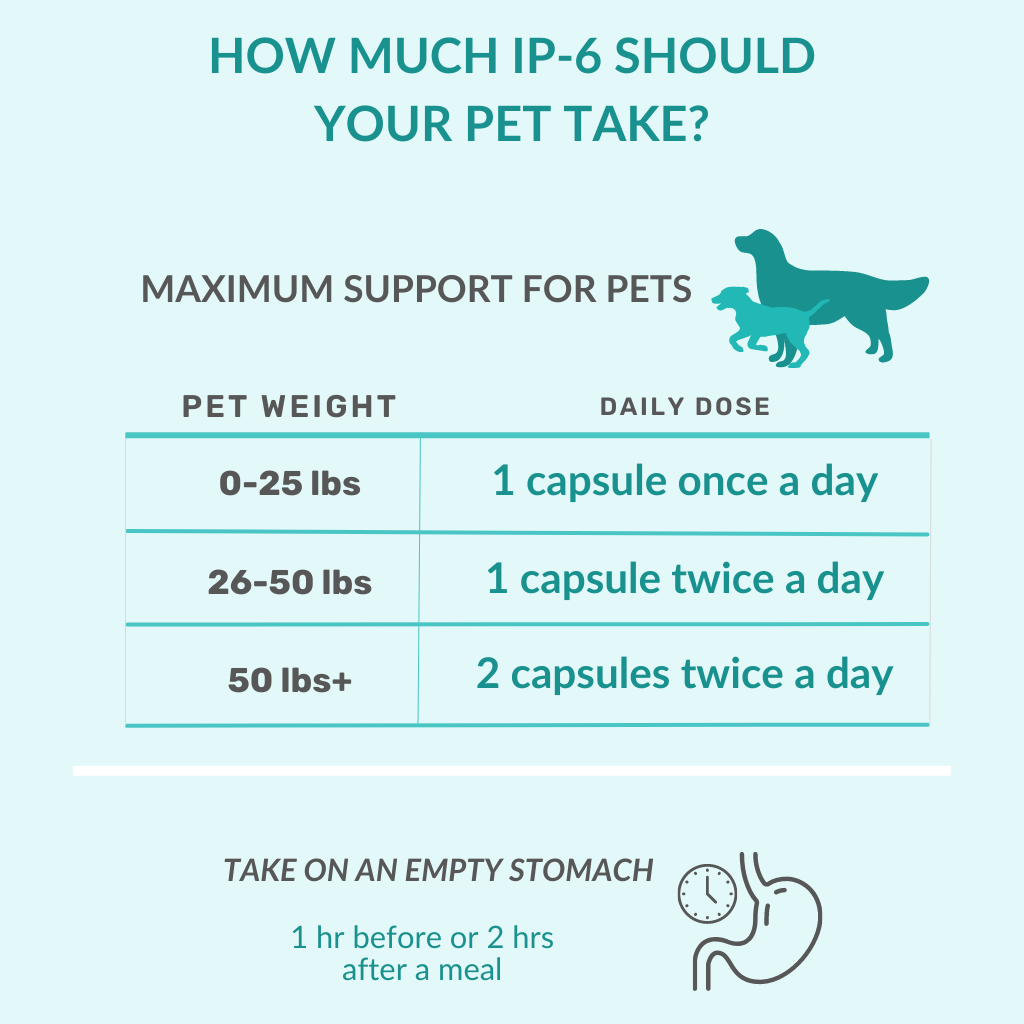 IP-6 IMMUNE SUPPORT for Dogs 2 Bottles (480 V-Caps)