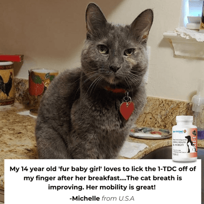 1-TDC Oral Health + Mobility Support for Cats