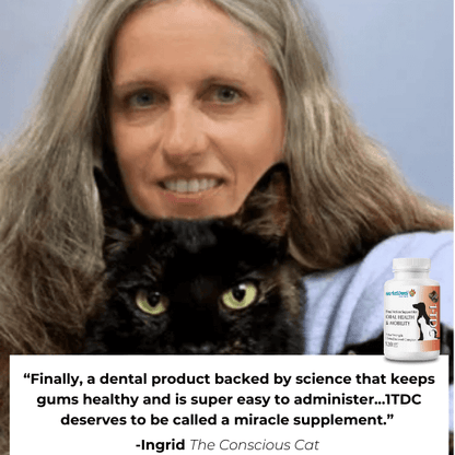 1-TDC Oral Health + Mobility Support for Cats