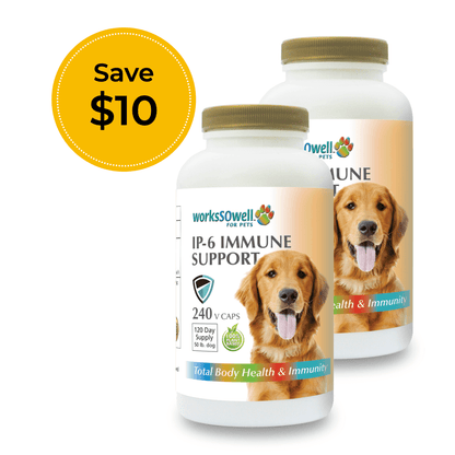 IP-6 IMMUNE SUPPORT for Dogs 2 Bottles (480 V-Caps)