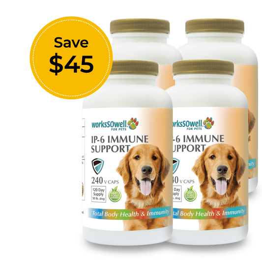 IP-6 IMMUNE SUPPORT for Dogs 4 Bottles (960 V-Caps)